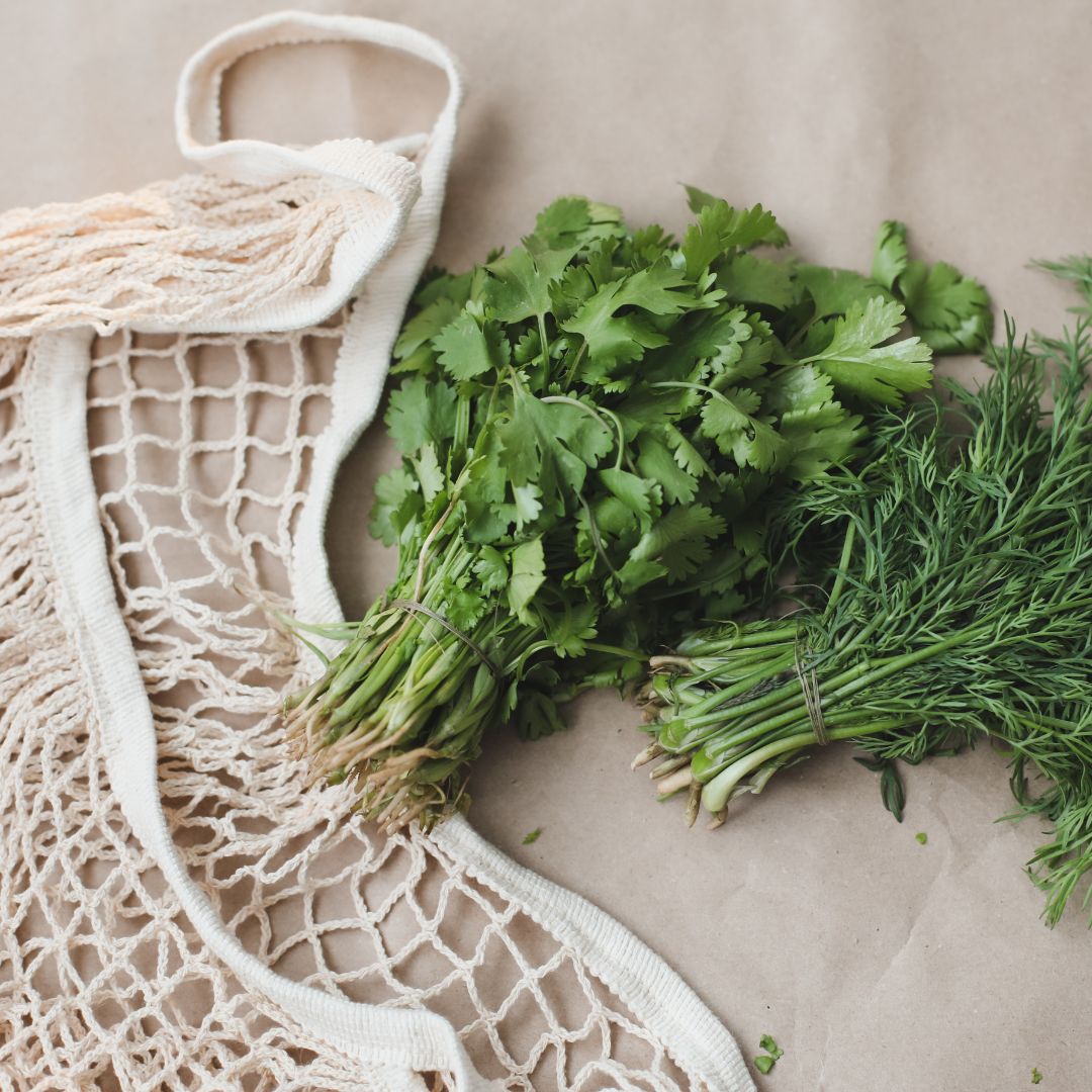 real-estate-6 Laguna Mall Home Page Store Directory