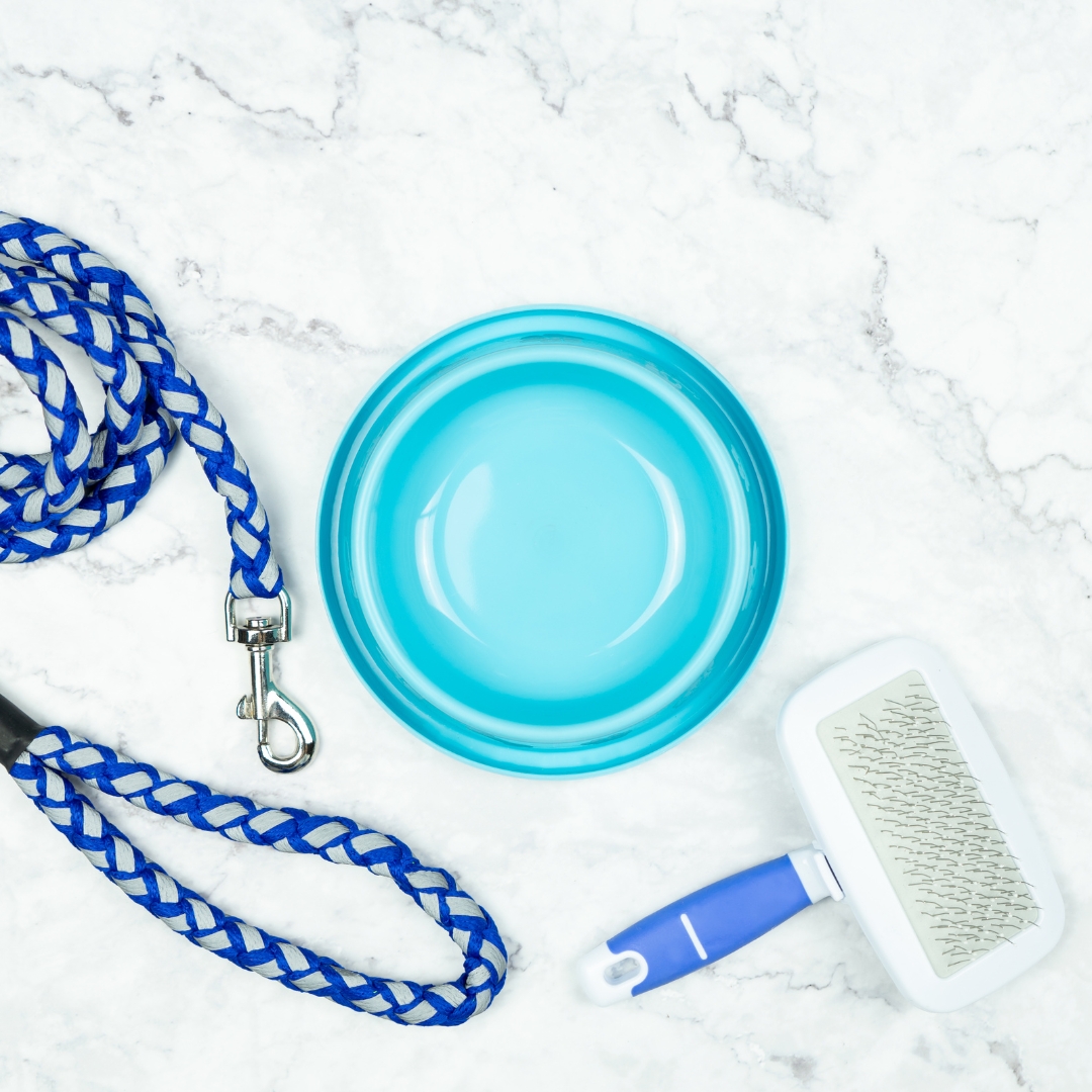 real-estate-6 Laguna Mall Home Page Store Directory